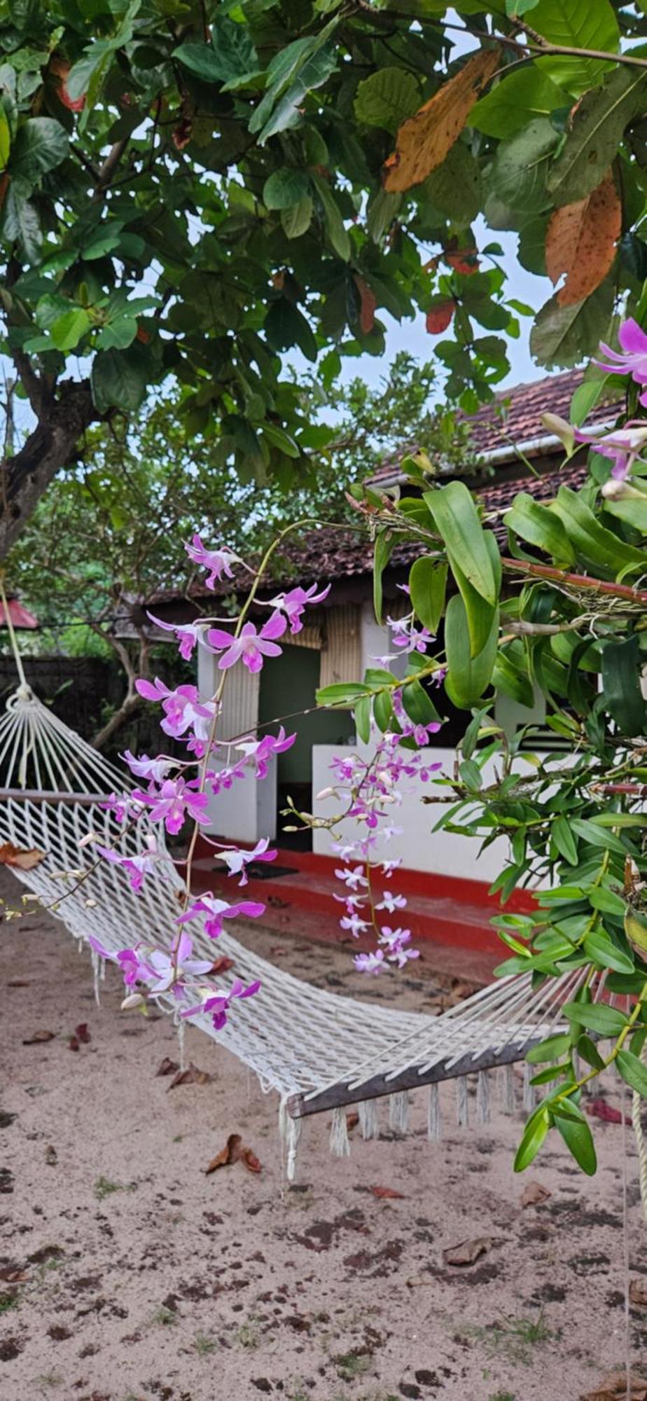 Angeo Beach House Alappuzha Bagian luar foto